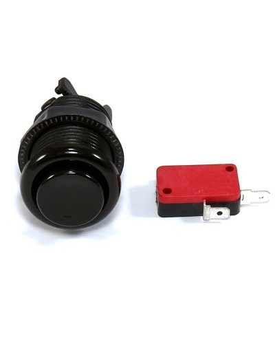 Push button with microswitch